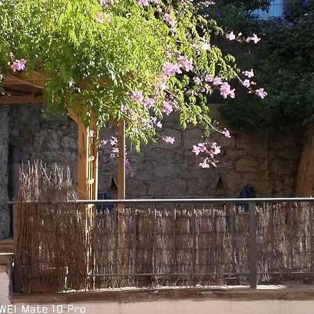Appartement Avec Jardin Privatif Centre Ville Hyères Buitenkant foto